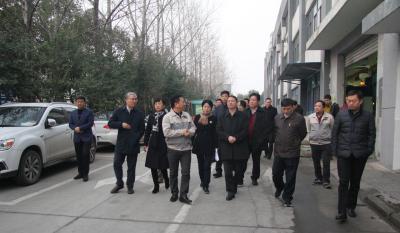 十年7790必发集团伴我行 又添春雨沐东风 ——记天津津南区党政代表团光临合肥7790必发集团调查领导